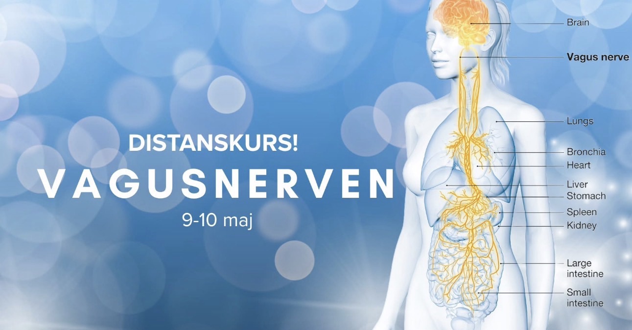 Vagusnerven – distanskurs 9-10 maj