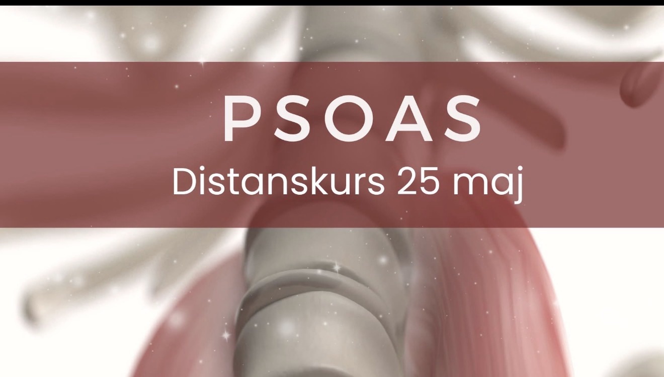 PSOAS – själens muskel